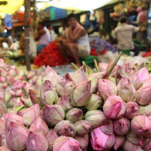 Mullik Ghat Flower Market