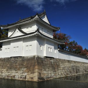 cherry blossom trees near ninomaru palace