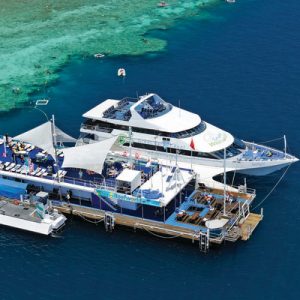 Great Barrier Reef Adventures by Cruise Whitsundays from Airlie Beach or Hamilton Island