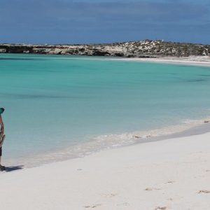 abrolhos islands