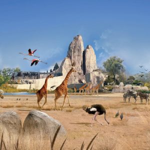 a savannah; there are giraffes, a rhino, flamingos, and an ostrich in the middle