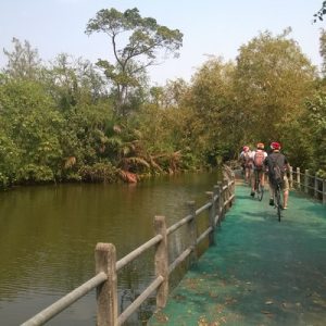 Bangkok Jungle Bike Tour
