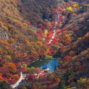 naejangsan national park seoul