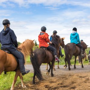 reykjavik volcanic landscape riding half day tour