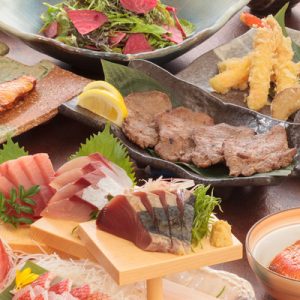 Kikkon fish coast izakaya