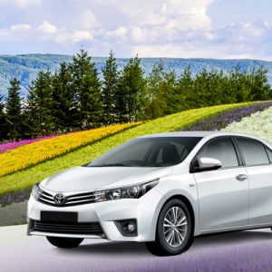 hokkaido car rent
