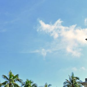 Cebu Rediscovery Tour