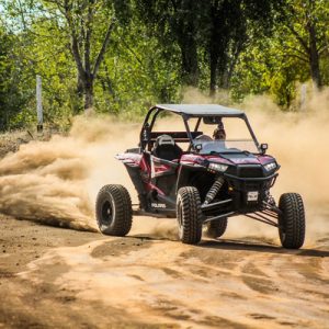 dune buggy ride
