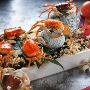 sushi airways bugis singapore