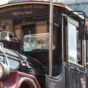 Copenhagen City Train Tour