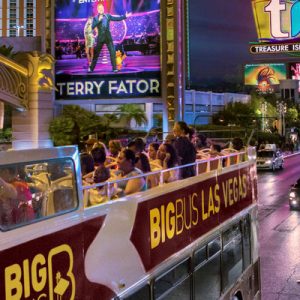 las vegas sightseeing
