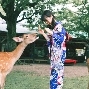 Nara Kimono and Deer Experience Day Trip from Kyoto