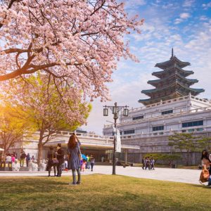 seoul private tour with guide
