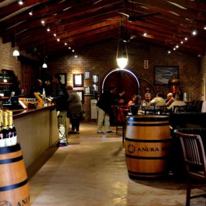 cape winelands full day tour from cape town