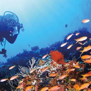 person snorkeling with the fishes in blue cave