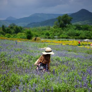 khao yai highlights tour