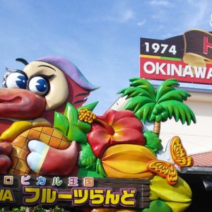 okinawa fruits land