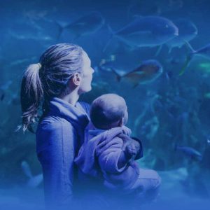 sydney sea life aquarium tickets cheap