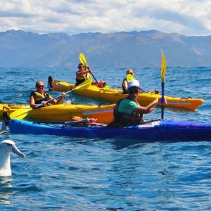 a group of tourists kayaking