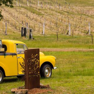 hunter valley wine country sydney