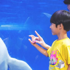 Chimelong Ocean Park Zhuhai
