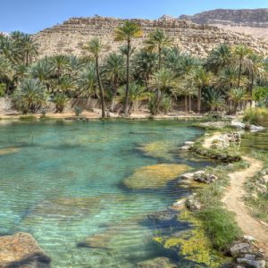 wadi badi khalid tour