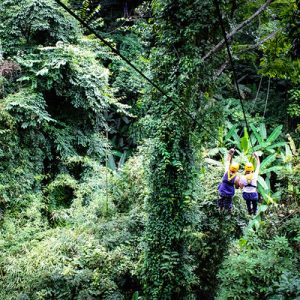 Flight of the Gibbon Zipline Experience and Cooking Class in Chiang Mai