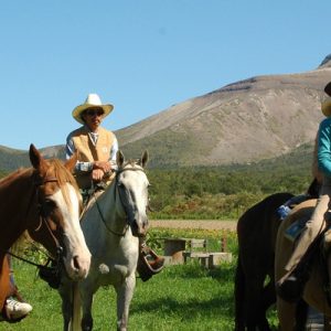 Hokkaido Cow Boy Horsing Experience