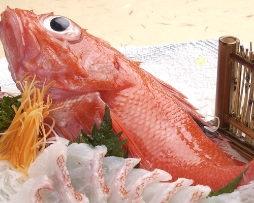 Sale Regional Cuisine Oga 郷土料理おが In Sapporo Susukino Super Popular Sashimi And Seafood Izakaya Ticket Kd