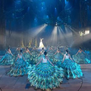 a scene in angkor dynasty show with a stage full of women dressed as peacocks