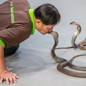Siam Serpentarium Ticket in Bangkok