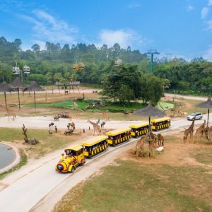 Chimelong Safari Park