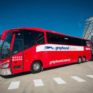 greyhound australia's bus