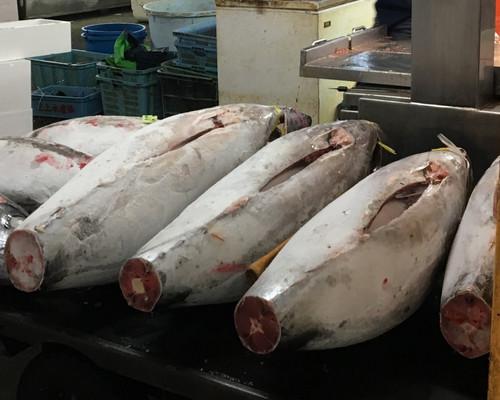 [SALE] Explore Adachi Fish Market and Taishakuten-Sando in Tokyo ...
