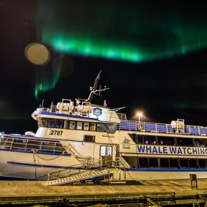 Northern Lights by Boat