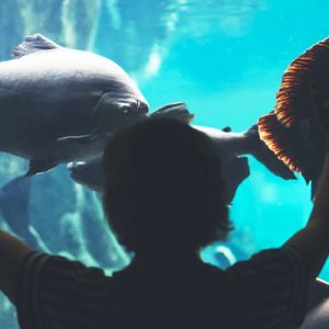 aquarium barcelona ticket