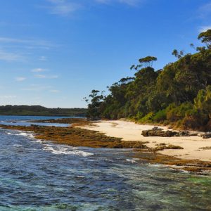 Jervis Bay South Coast Tour