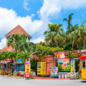 nago pineapple park, pineapple park okinawa, pineapple park okinawa japan, nago pineapple park ticket, nago pineapple park discounted ticket