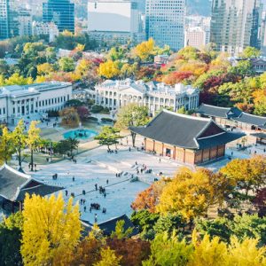 朝鲜宫殿晨间漫步