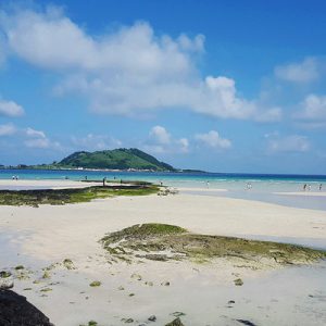 西部郊野与最美庭院