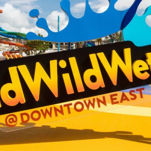 新加坡 Wild Wild Wet 水上乐园门票