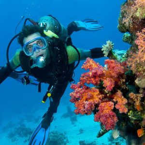 皇帝岛岸潜水深探