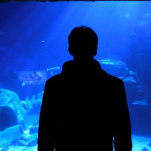 伦敦海洋生物水族馆门票