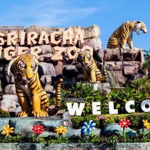 芭堤雅是拉差龙虎园门票