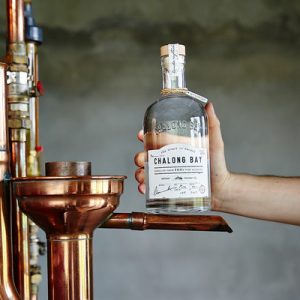 查龙湾朗姆酒酿酒厂之旅