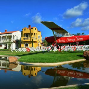 芭提雅瑞士绵羊农场