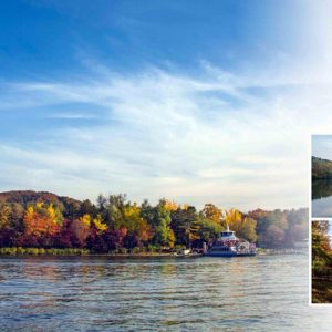 南怡岛一日游 ( 首尔出发）