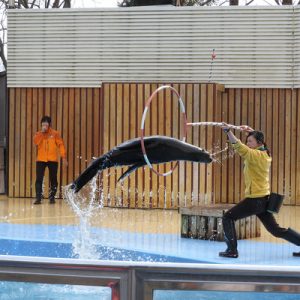 东武动物公园门票