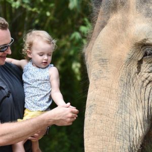 普吉岛奈迪大象保护营半日游